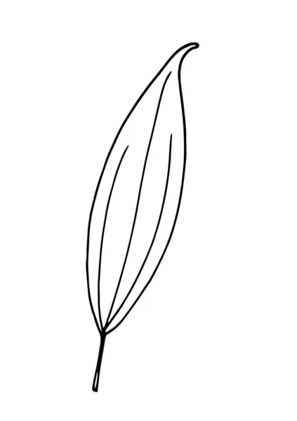 Handgezeichnete Blattvektorillustration Großer Tropenurlaub Einfacher Schwarzer Strich Blume Lineart Isolierte — Stockvektor