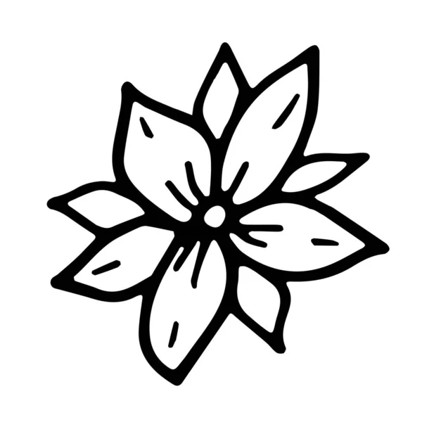 Handgezeichnetes Doodle Aus Blumen Einfache Linienkizze Florale Kollektion Schwarz Weiß — Stockvektor