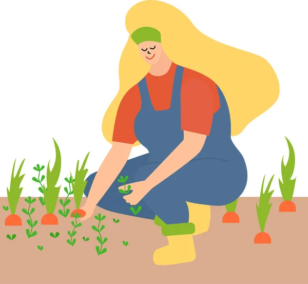 Žena pracující na zahradě, plevel. Vytáhněte plevel a nechte mrkev. blondýnka v modré kombinéze a žlutých botách. — Stockový vektor