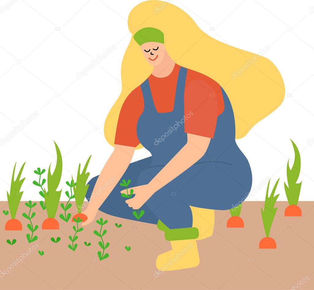 woman working in the garden, weeding. Pull out the weeds and leaves the carrots. a blonde in a blue jumpsuit and yellow boots.