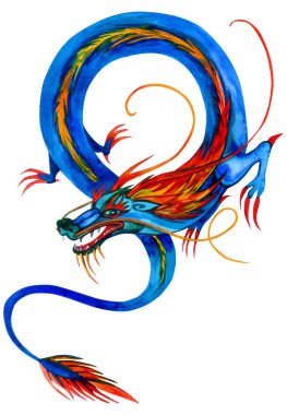 Stilize edilmiş Asyalı mavi ejderha. Baskı için, tişört tasarımı. El çizimi suluboya çizimi beyaza izole edilmiş