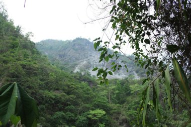 Dağ mavisi gökyüzü ve uzak mesafeden yeşil yapraklar görünüyor.