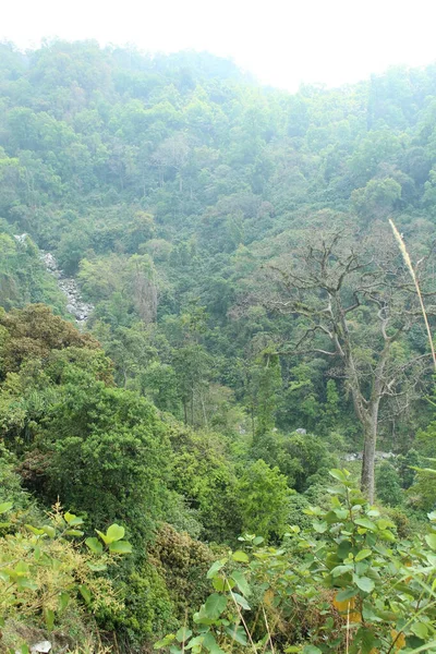 Uitzicht Naar Beneden Vanaf Bergtop Gevuld Met Groenheid — Stockfoto