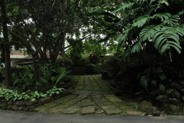 Ormanın yakınındaki bahçe kapısının doğal güzelliği.