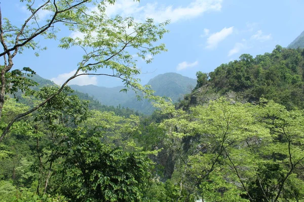 Blick Auf Grüne Bäume Und Blauen Himmel Und Berge Aus — Stockfoto