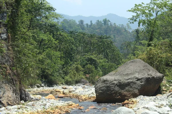 Fast Trockenes Flussbett Und Viel Grün Bei Blauem Himmel — Stockfoto