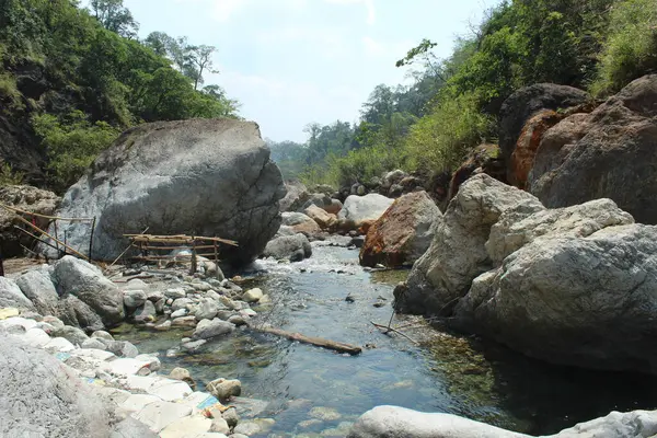 Fast Trockener Fluss Und Grüne Bäume Hintergrund — Stockfoto