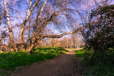 Altına girince acıtmıyor.