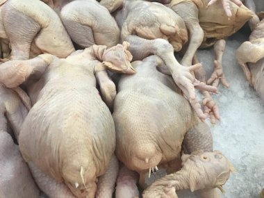 Buzlu taze tavuk pazarda satılmak üzere süslenir.