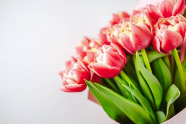 bahar çiçeği arkaplanı