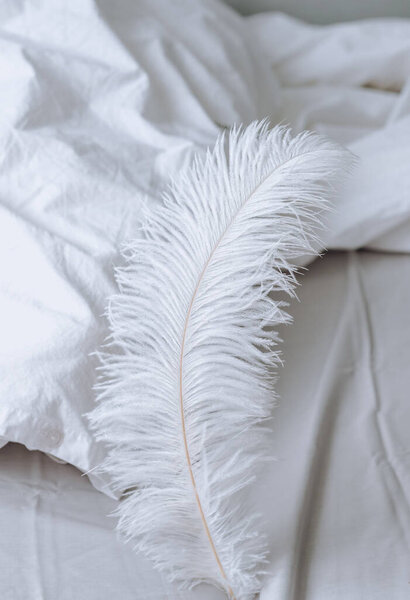 Large white feather on the bed.