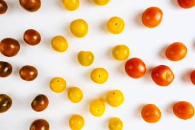 Sıraya dizilmiş kiraz domatesleri çeşitleri.