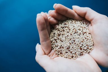 Eller mavi arka planda kinoa lapası tutar.. 