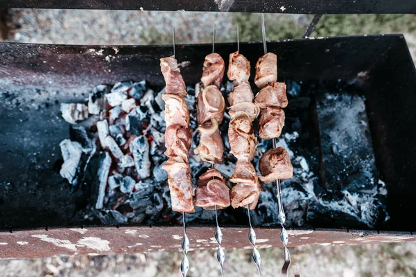 Carne fresca succosa sottaceto su carboni caldi . — Foto Stock