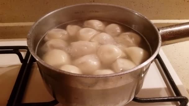 Traditionele Russische pelmeni — Stockvideo