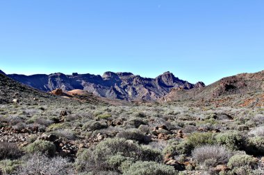 Cansız taşlı manzara