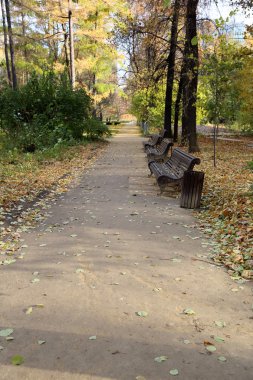 Sonbahar Şehir Parkı