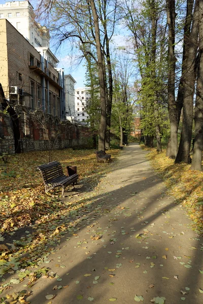 가을 도시 공원 — 스톡 사진