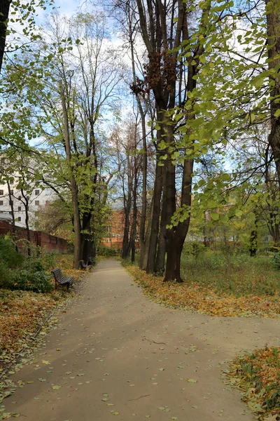 Outono parque da cidade — Fotografia de Stock