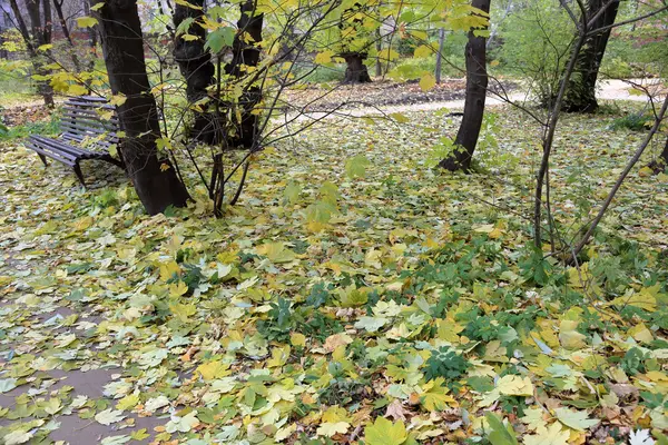 Autumn city park — Stock Photo, Image