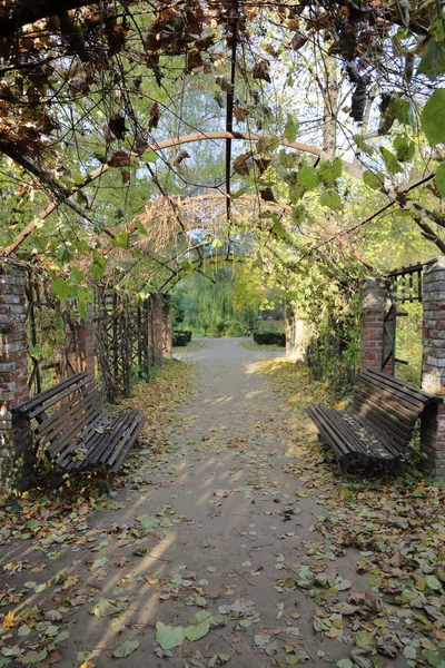 Parque de la ciudad de otoño —  Fotos de Stock