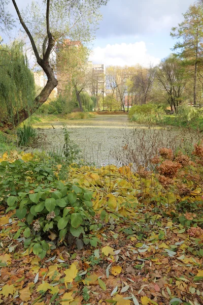 秋の都市公園 — ストック写真