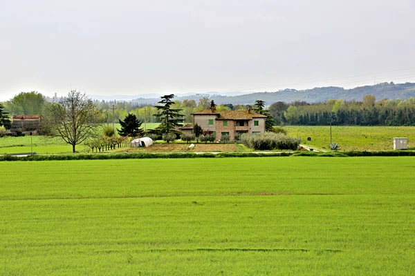 Campo agrícola na Europa — Fotografia de Stock