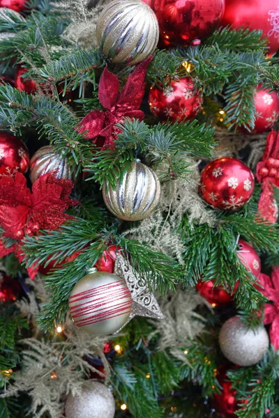 Textura da árvore de natal — Fotografia de Stock
