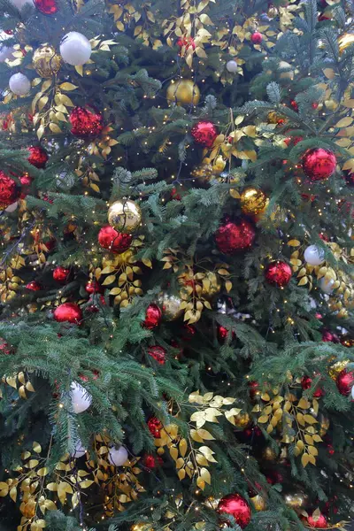 Textura da árvore de natal — Fotografia de Stock