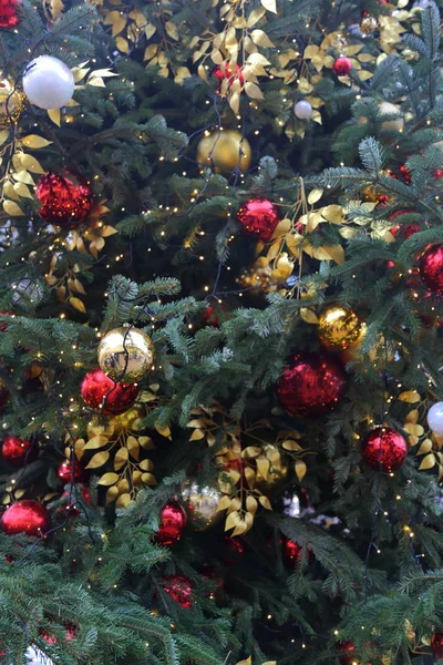 Textura da árvore de natal — Fotografia de Stock