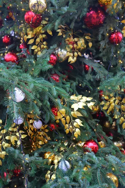 Textura da árvore de natal — Fotografia de Stock