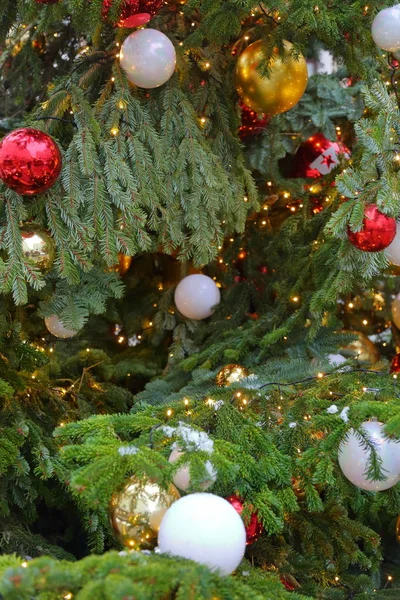 Boże Narodzenie drzewo tekstura — Zdjęcie stockowe