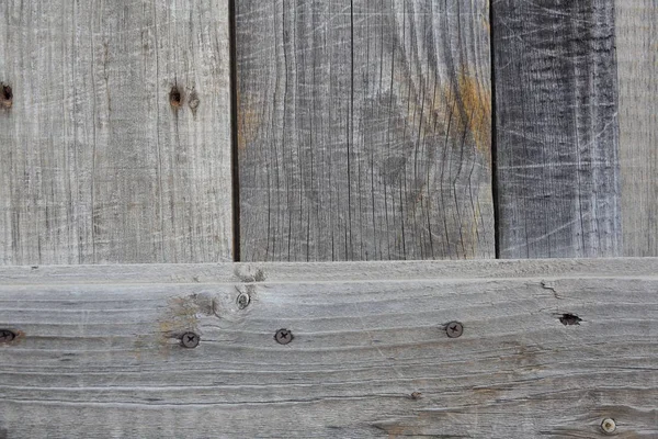Pannelli di legno. Texture — Foto Stock