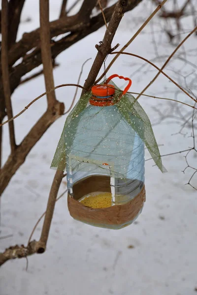 Besleyici parkta kuşlar için — Stok fotoğraf