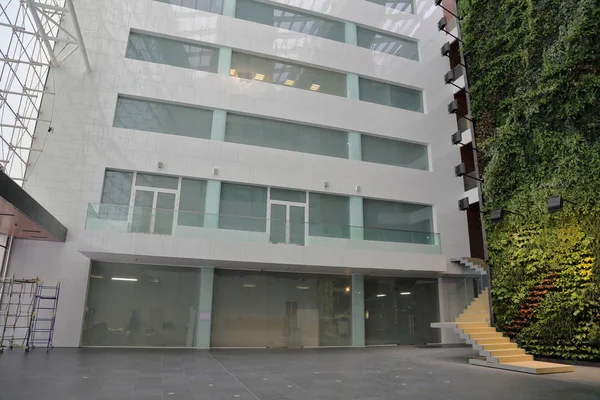 Parede verde no prédio de escritórios — Fotografia de Stock
