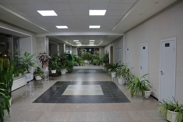 Lång korridor med växter — Stockfoto