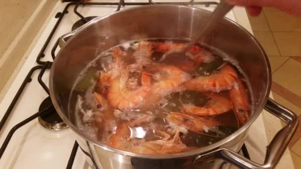 大虎虾在锅里煮熟 — 图库视频影像