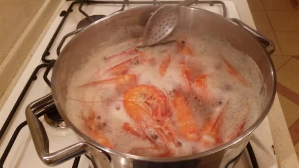 大虎虾在锅里煮熟 — 图库视频影像