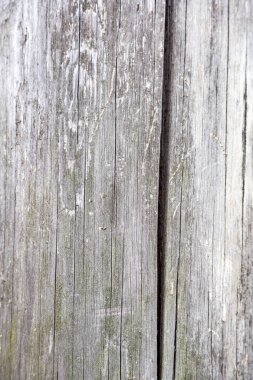 Ahşap plakalar. Doku