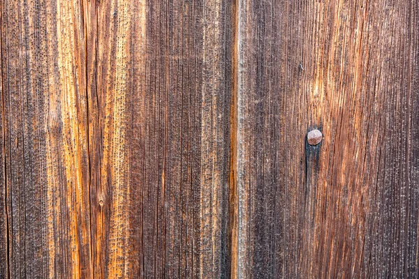 Pannelli di legno. Texture — Foto Stock