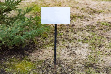 Sözcükler olmadan yön işaretçi