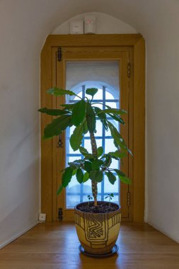 Pencere dekor örneği