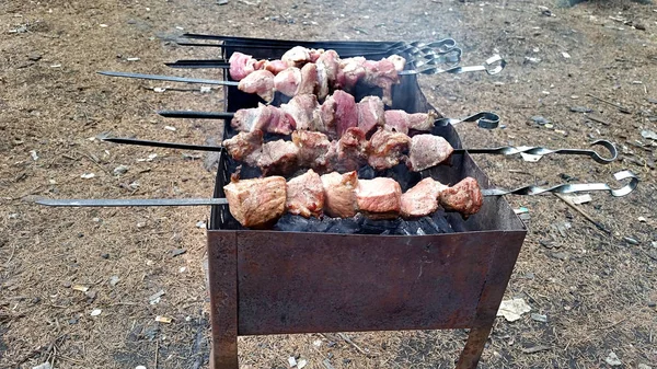 Shish kebab paistettu vartaissa — kuvapankkivalokuva