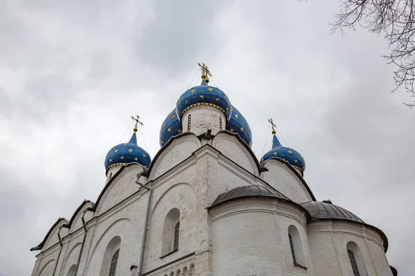 大教堂的处女，苏兹达尔、 俄罗斯的诞生 — 图库照片