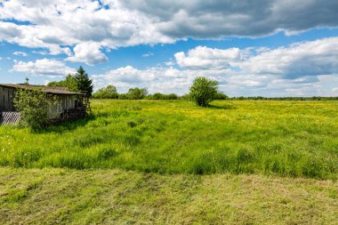 Doğal kırsal manzara