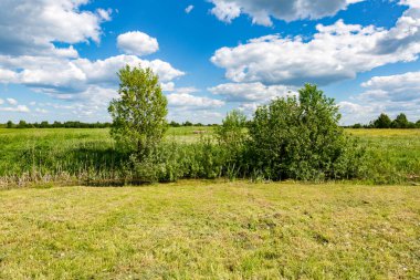 Doğal kırsal manzara