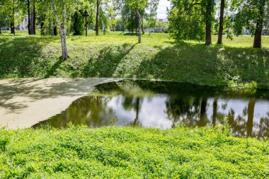 Küçük terk edilmiş gölet