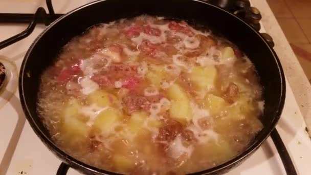 Las patatas con la carne fríen en la cacerola — Vídeo de stock