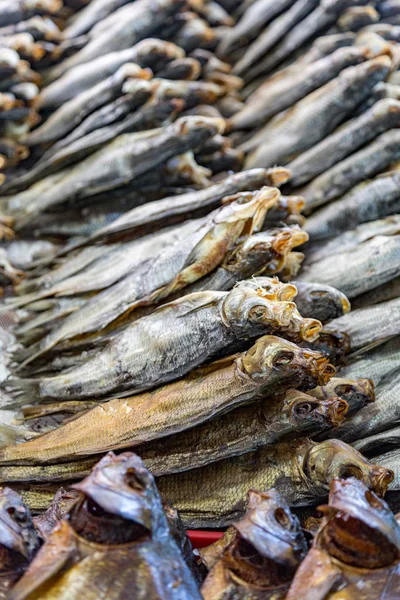 Filas de pescado seco — Foto de Stock