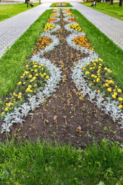 Taş yatakta çiçek